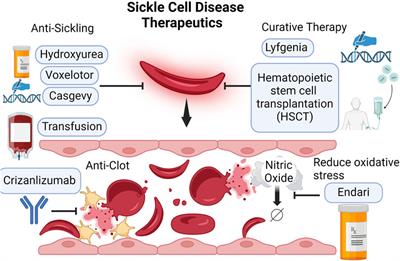 Therapeutics for sickle cell disease intravascular hemolysis